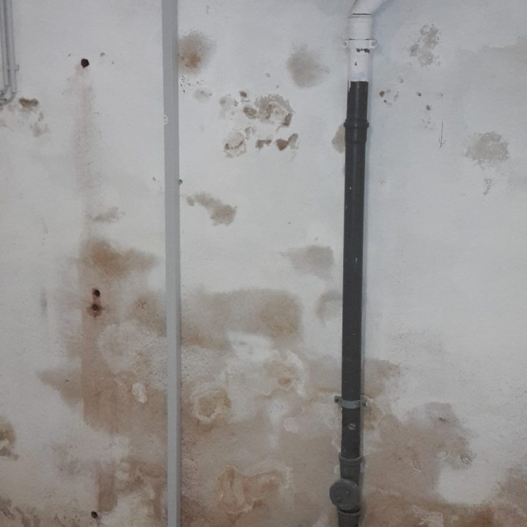 Feuchte Wand, nasses Haus, Mauertrockenlegung